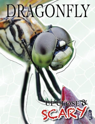 Up Close & Scary Dragonfly